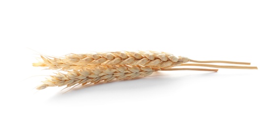 Photo of Spikelets on white background. Healthy grains and cereals