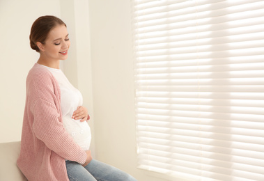 Young pregnant woman near window at home. Space for text