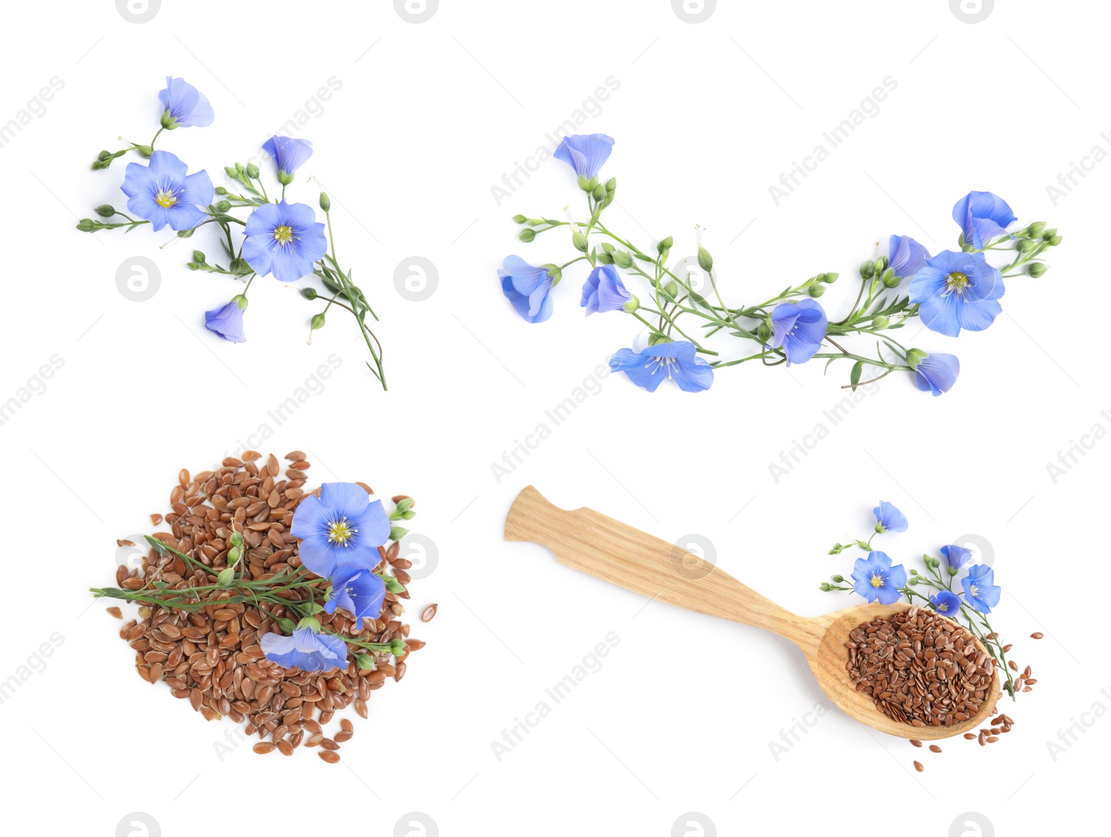 Image of Set with flax seeds and flowers on white background, top view