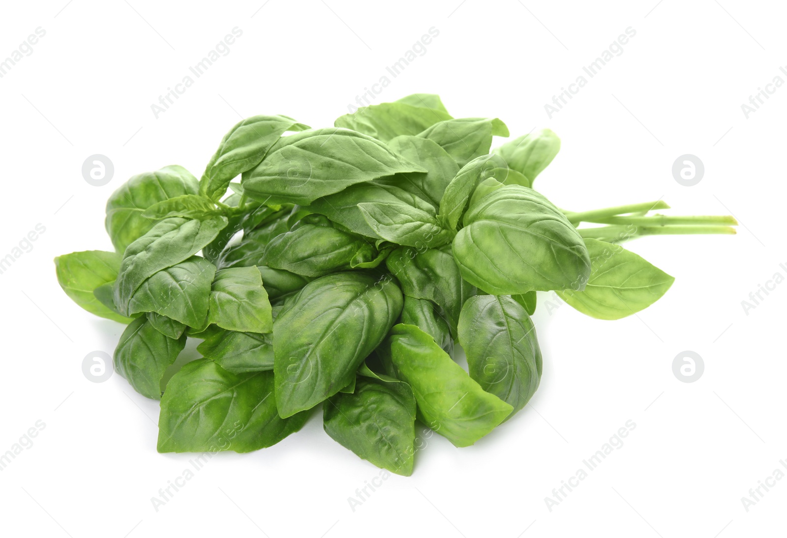 Photo of Fresh green basil leaves on white background