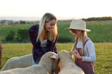 Photo of Mother and daughter with sheep on pasture. Farm animals