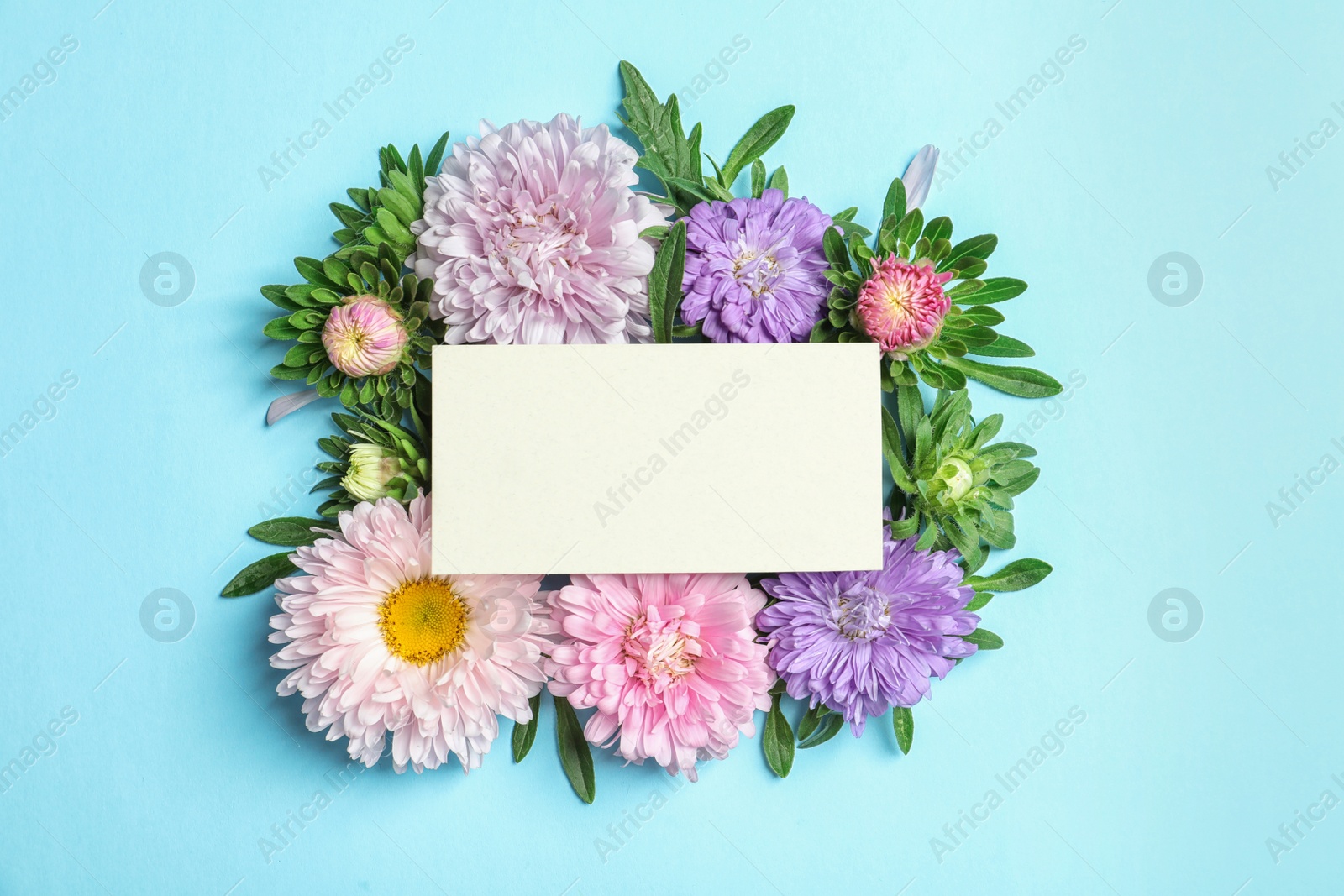 Photo of Beautiful aster flowers with sheet of paper on color background, top view. Space for text