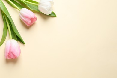 Photo of Beautiful pink spring tulips on beige background, flat lay. Space for text