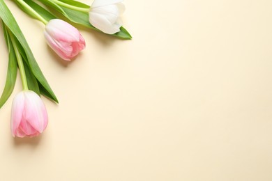 Beautiful pink spring tulips on beige background, flat lay. Space for text