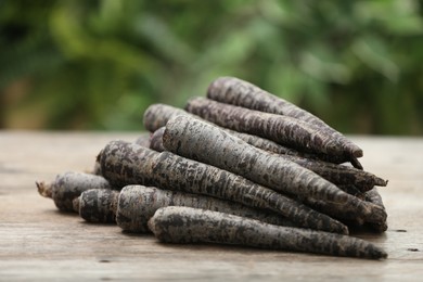 Photo of Raw black carrots on wooden table against blurred background