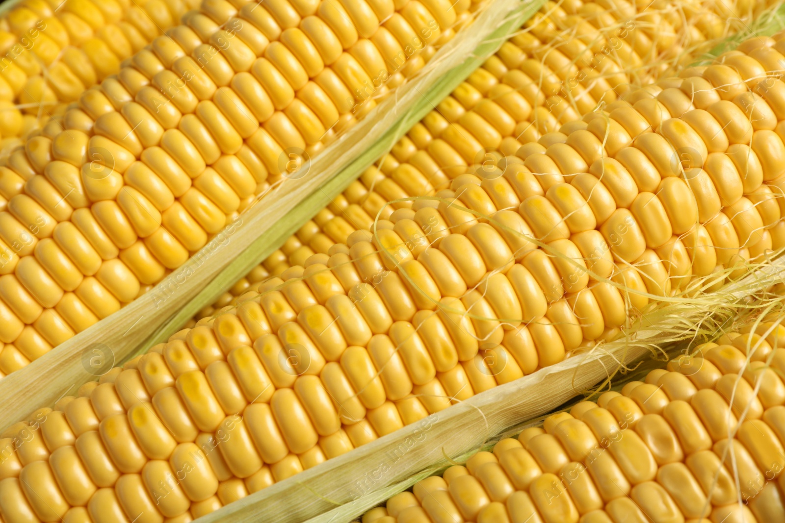 Photo of Tasty sweet corn cobs as background, closeup