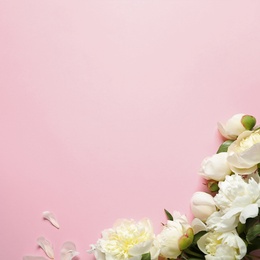 Photo of Fragrant peonies on color background, flat lay with space for text. Beautiful spring flowers