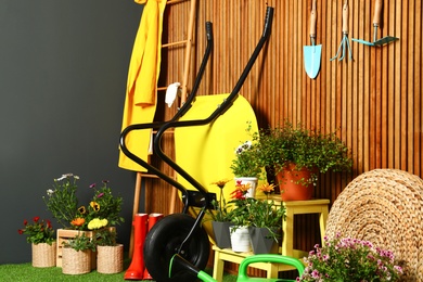 Gardening tools with wheelbarrow and flowers near wooden wall