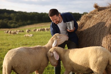 Photo of Smiling man with bucket feeding sheep near hay bale on animal farm
