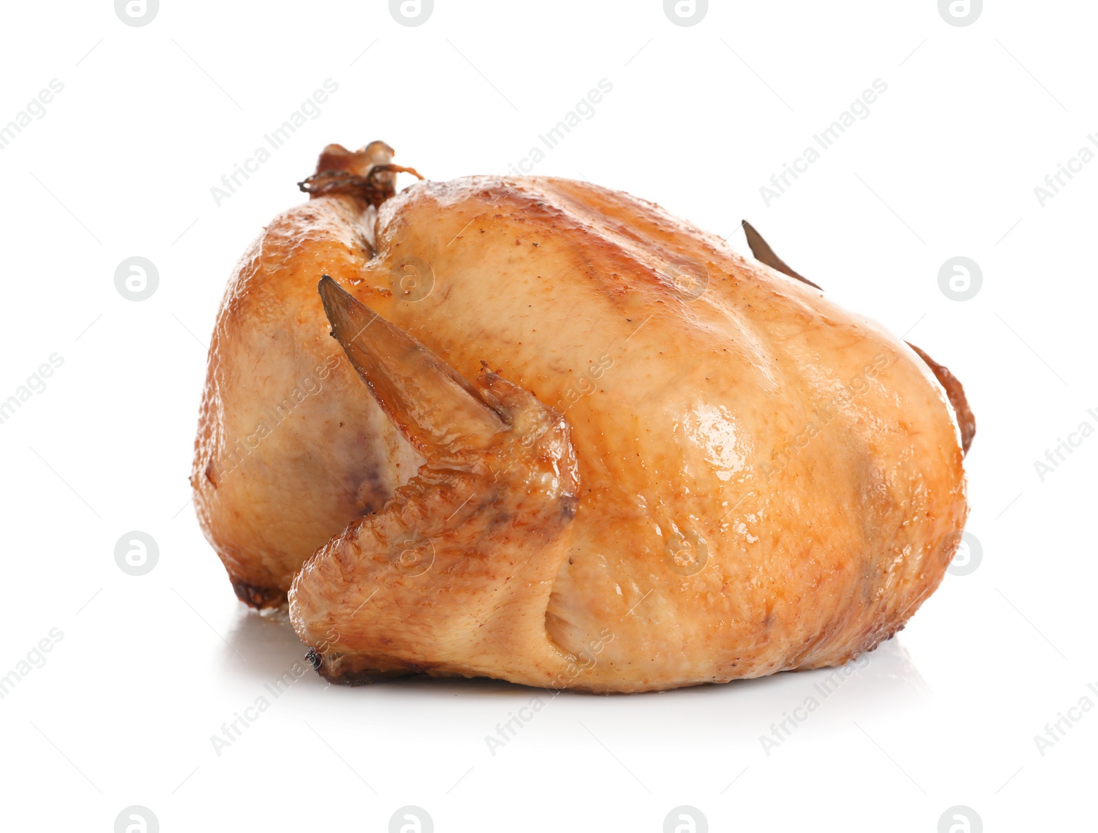 Photo of Delicious cooked whole turkey on white background