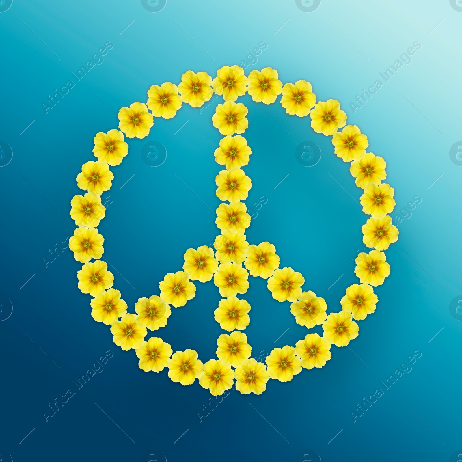 Image of Hippie peace symbol made of yellow primula flowers on light blue gradient background