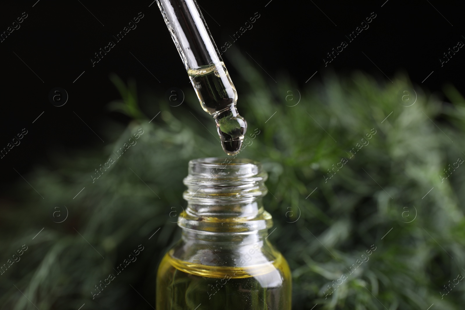 Photo of Dripping dill essential oil from pipette into bottle on black background, closeup