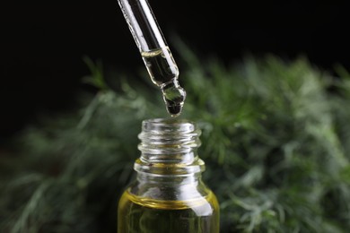 Dripping dill essential oil from pipette into bottle on black background, closeup