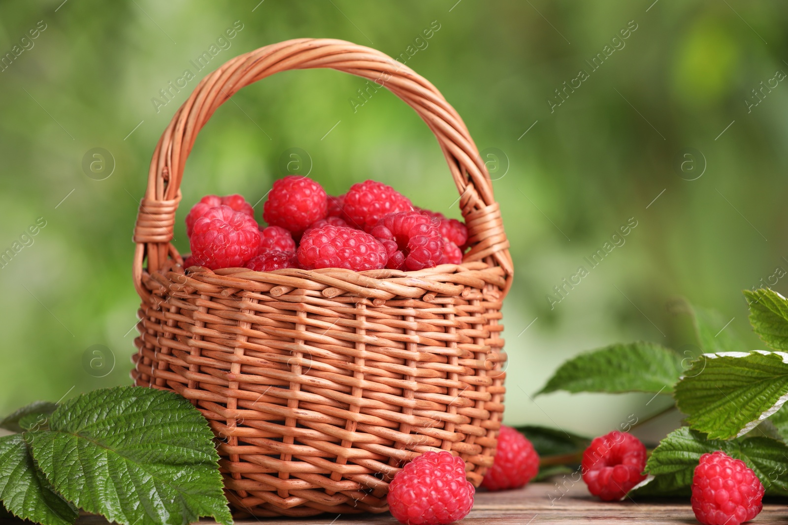 Photo of Wicker basket with tasty ripe raspberries and leaves on wooden table against blurred green background, closeup