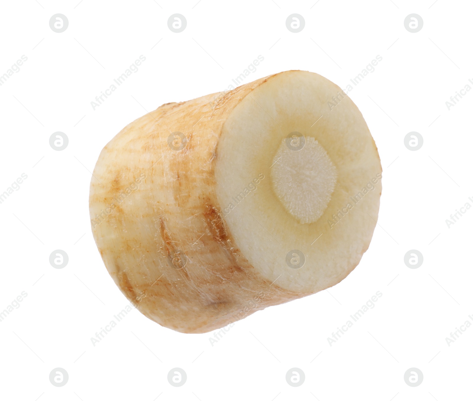 Photo of Piece of fresh parsnip isolated on white