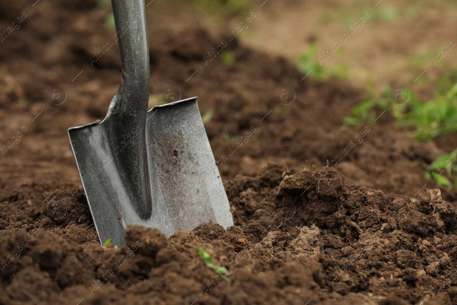 Photo of Shovel in soil outdoors, space for text. Gardening tool