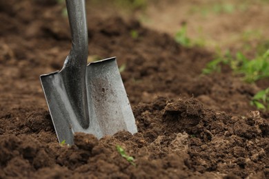Photo of Shovel in soil outdoors, space for text. Gardening tool