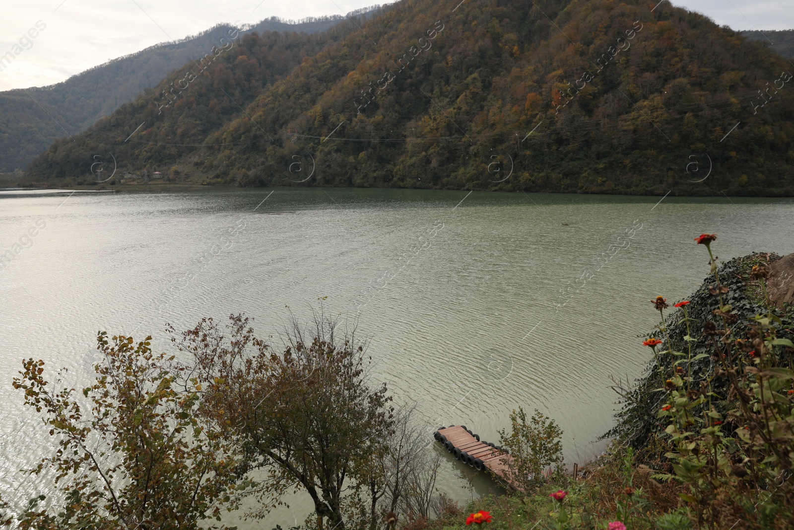 Photo of Picturesque view of beautiful river and green plants in mountains