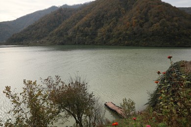 Picturesque view of beautiful river and green plants in mountains