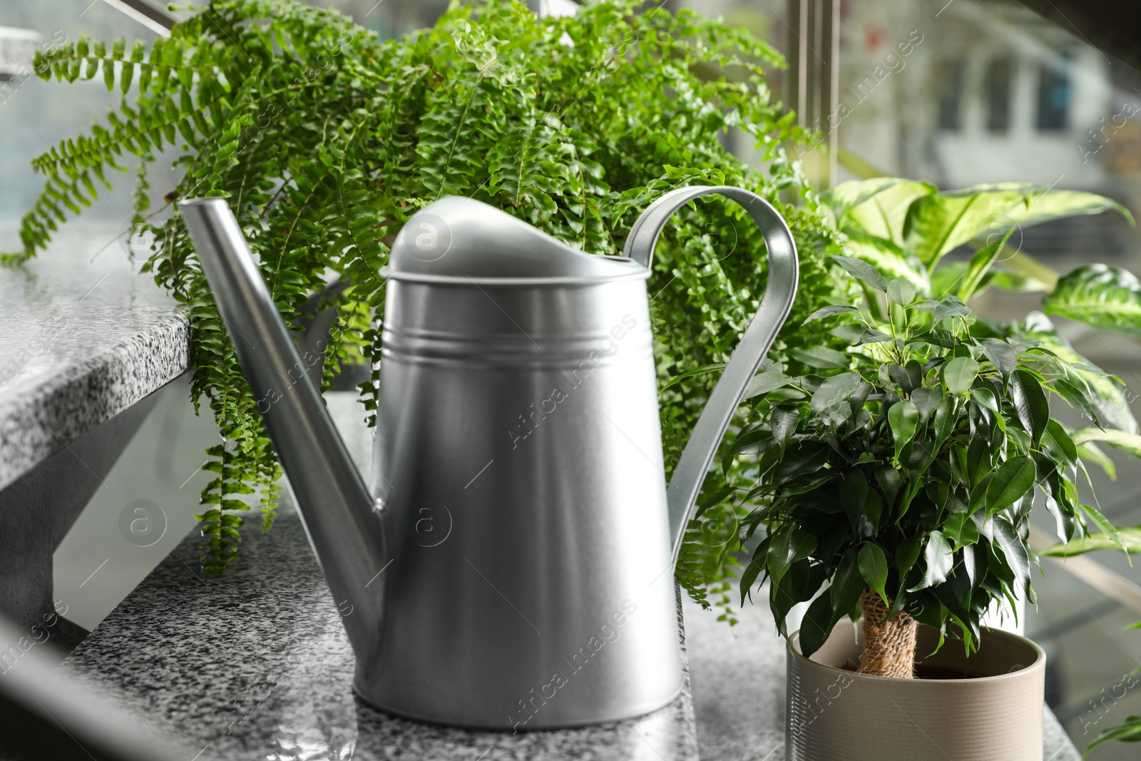 Photo of Watering can and home plants on stairs indoors