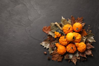 Flat lay composition with ripe pumpkins on dark grey textured table. Space for text