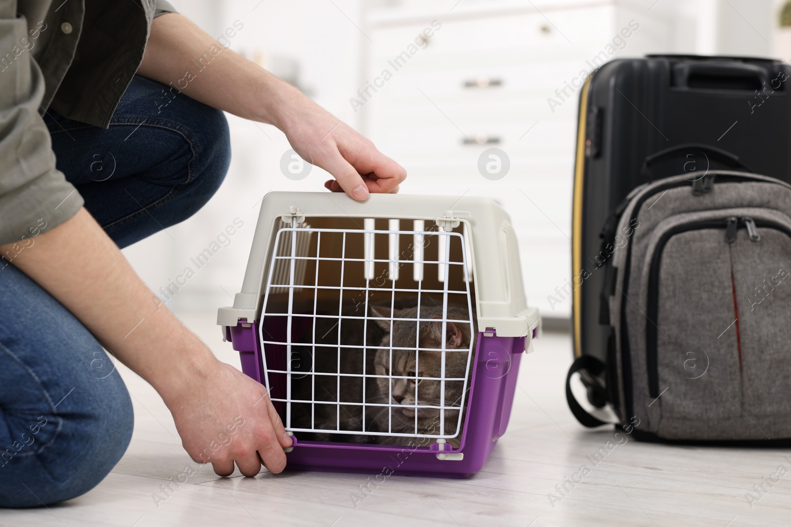 Photo of Travel with pet. Man closing carrier with cat at home, closeup