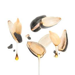 Image of Sunflower seeds with oil and husk on white background