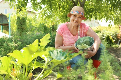 Woman working in garden on sunny day