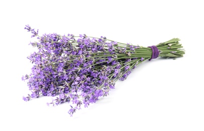 Beautiful tender lavender flowers on white background