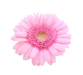 Photo of One beautiful pink gerbera flower isolated on white