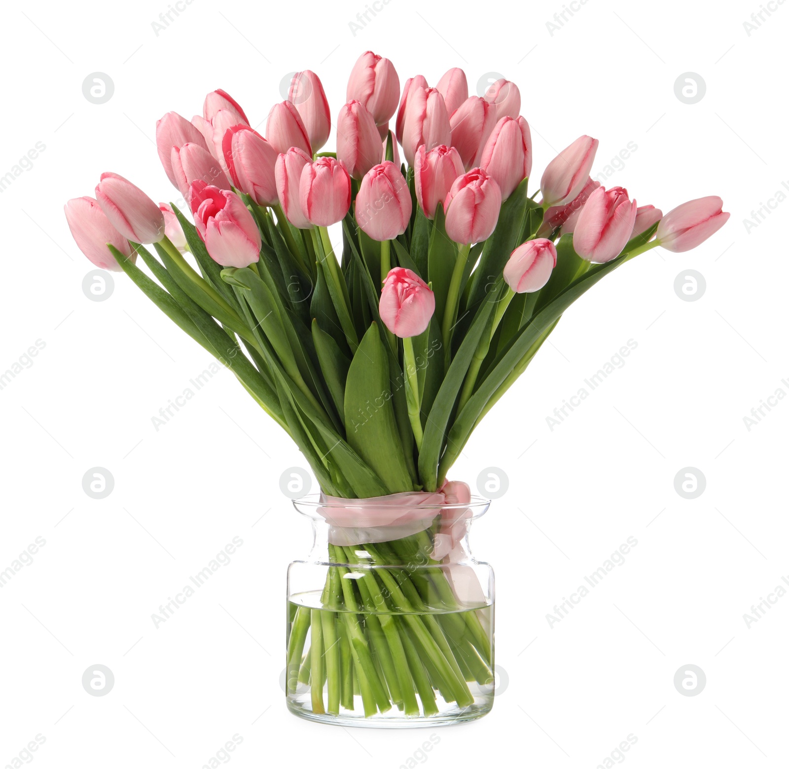 Photo of Bouquet of beautiful pink tulips in vase isolated on white