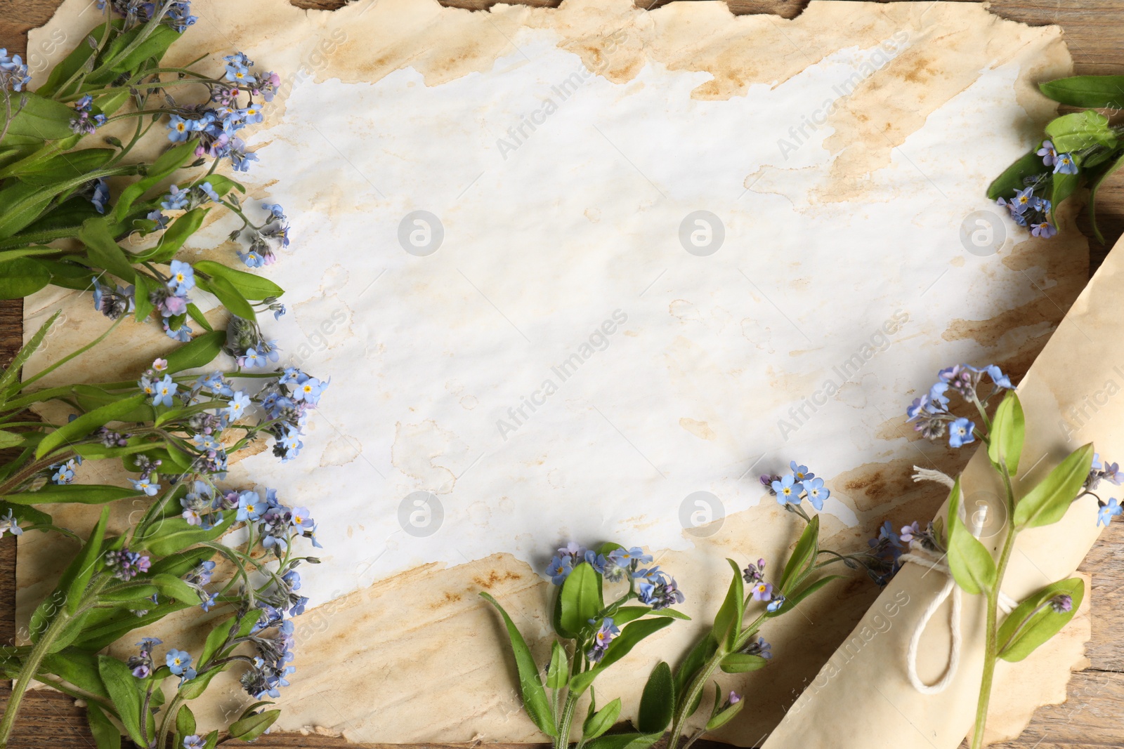 Photo of Beautiful forget-me-not flowers and sheets of old parchment paper on table, top view
