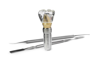 Educational model of dental implant and medical tools on white background