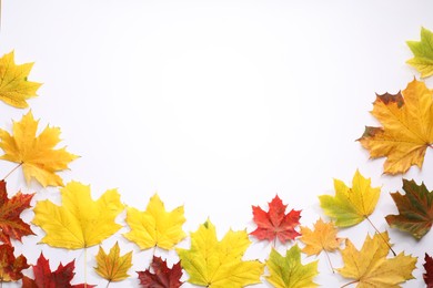 Photo of Beautiful autumn leaves on white background, top view. Space for text