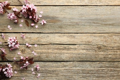 Photo of Spring branches with beautiful blossoms and leaves on wooden table, flat lay. Space for text