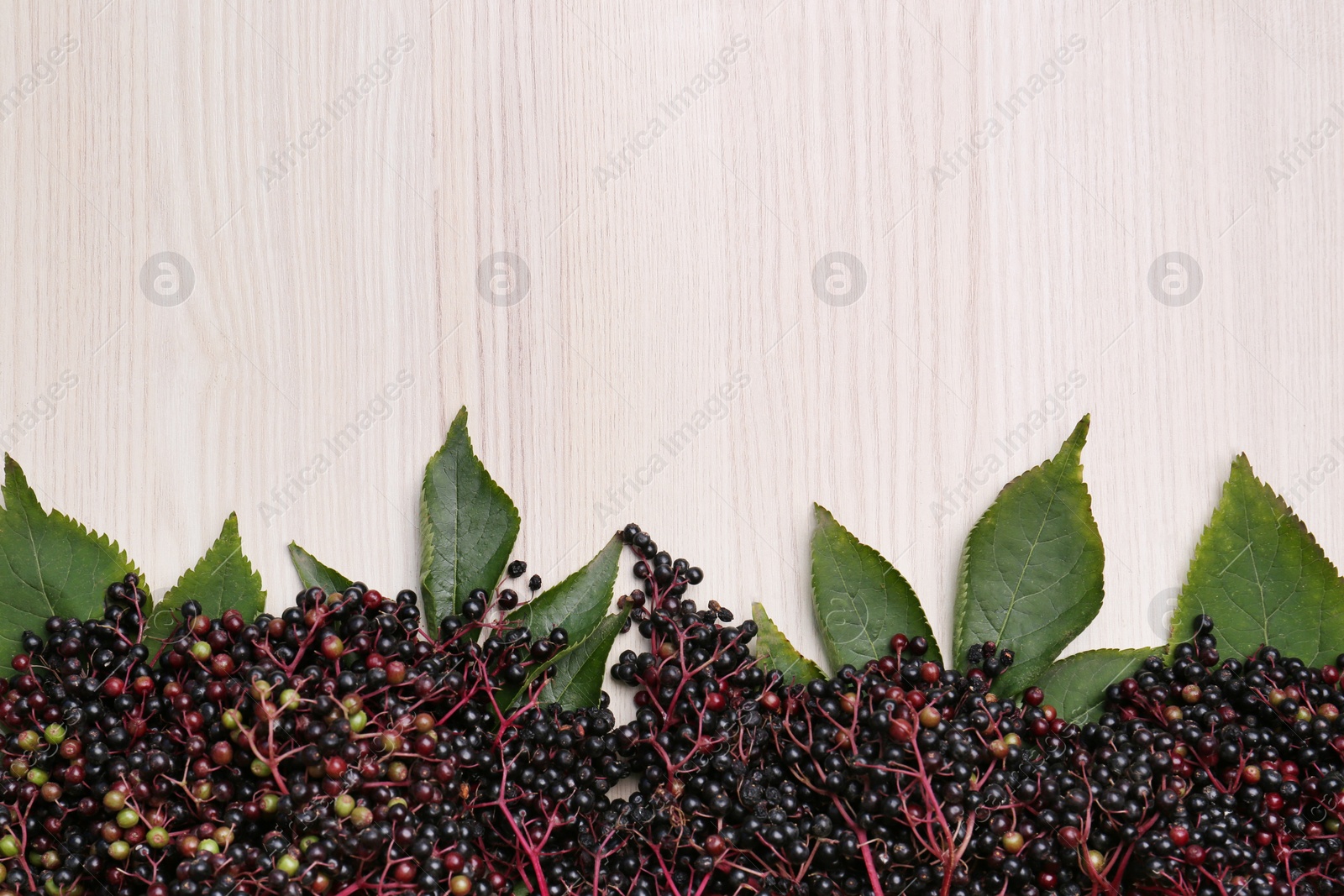 Photo of Tasty elderberries (Sambucus) on wooden table, top view. Space for text