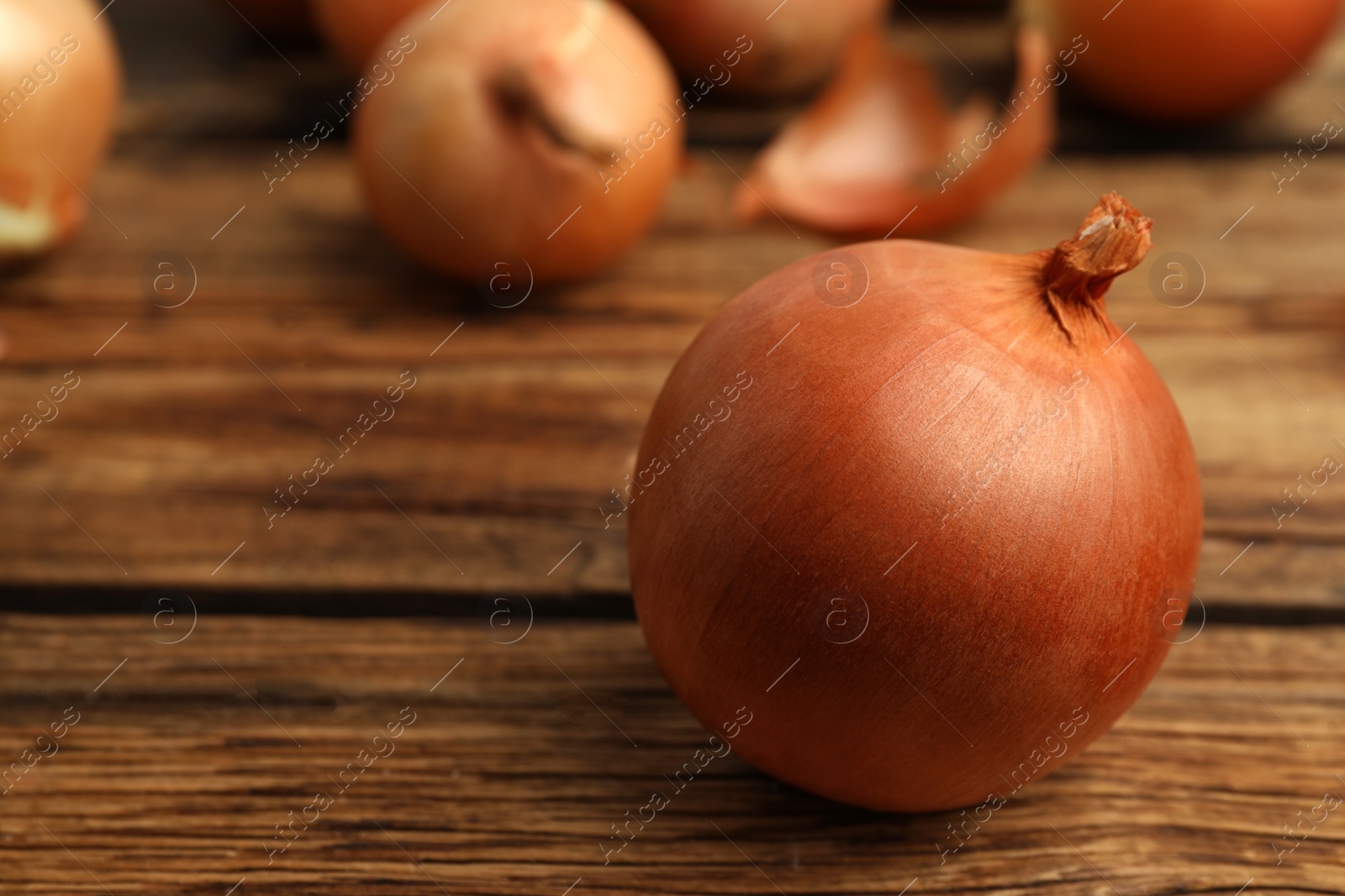 Photo of Ripe onion bulbs on wooden table. Space for text