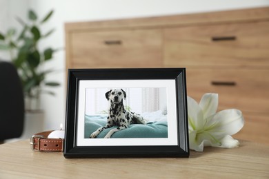 Photo of Pet funeral. Frame with picture of dog, collar, burning candle and lily flower on wooden table indoors