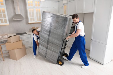 Photo of Male movers carrying refrigerator in new house