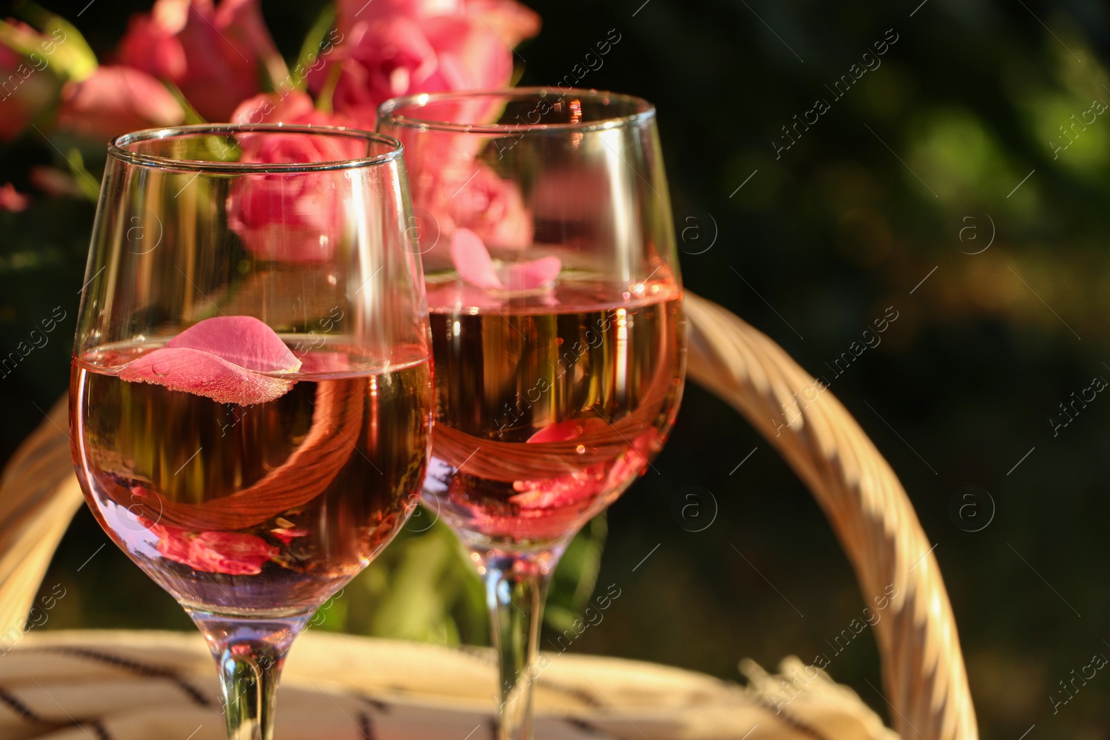 Photo of Glasses of delicious rose wine with petals outside. Space for text