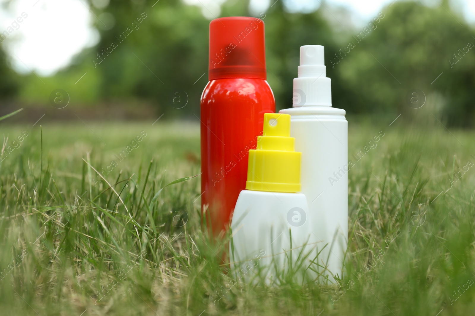 Photo of Bottles of insect repellent on green grass