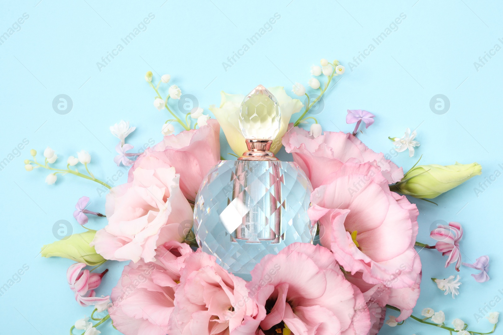 Photo of Luxury perfume and floral decor on light blue background, flat lay