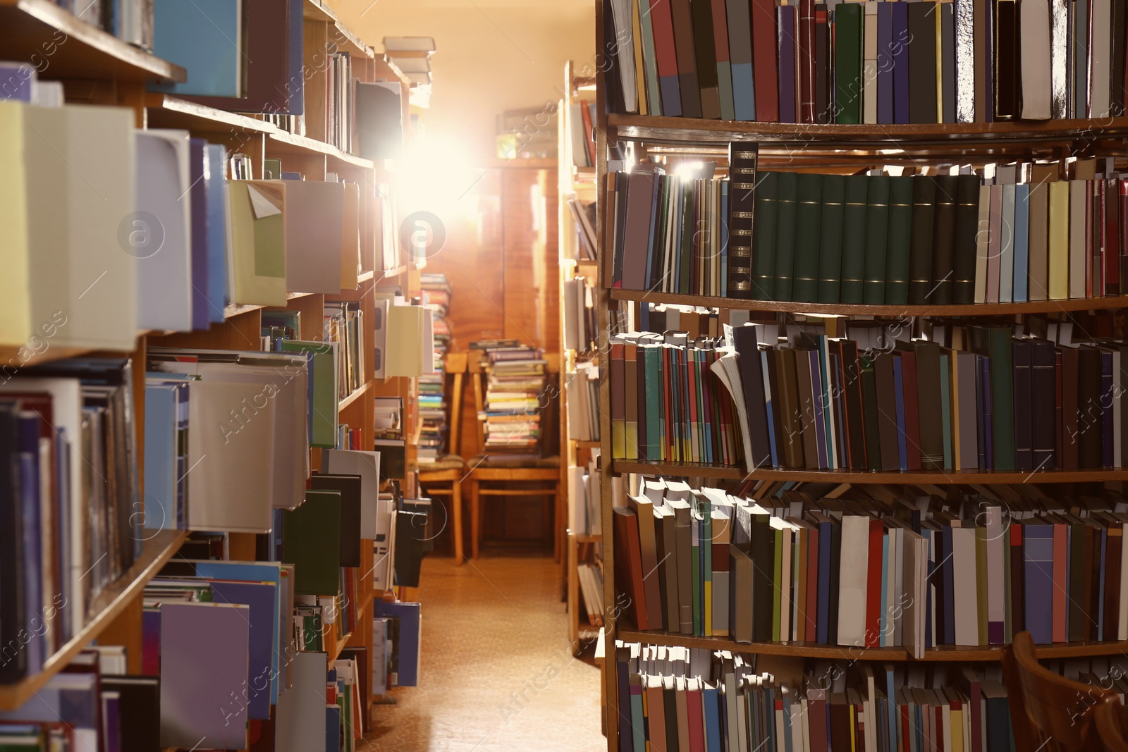 Image of Collection of different books on shelves in library