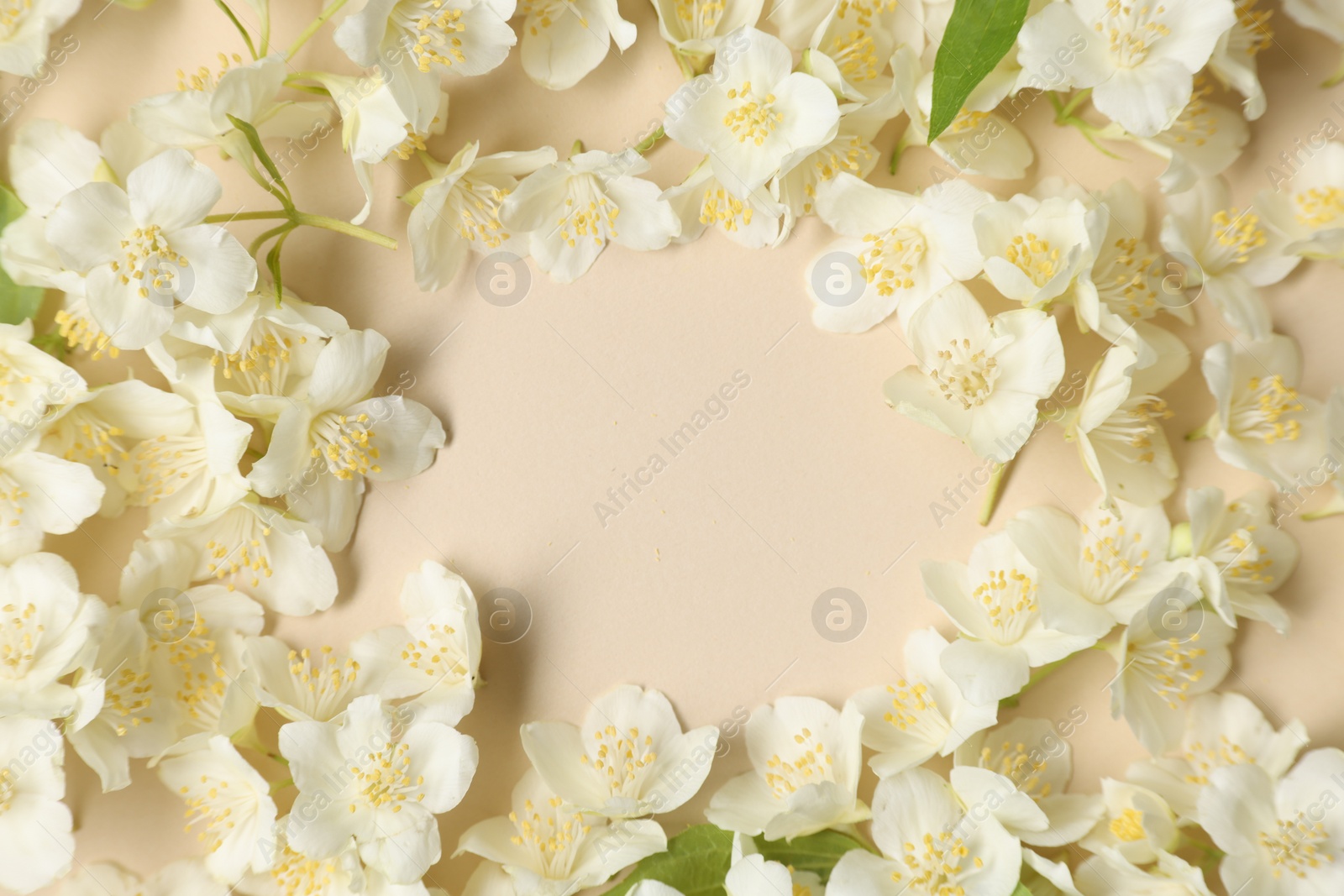 Photo of Frame of aromatic jasmine flowers on beige background, flat lay. Space for text