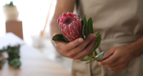 Photo of Florist with beautiful protea flower in workshop, closeup