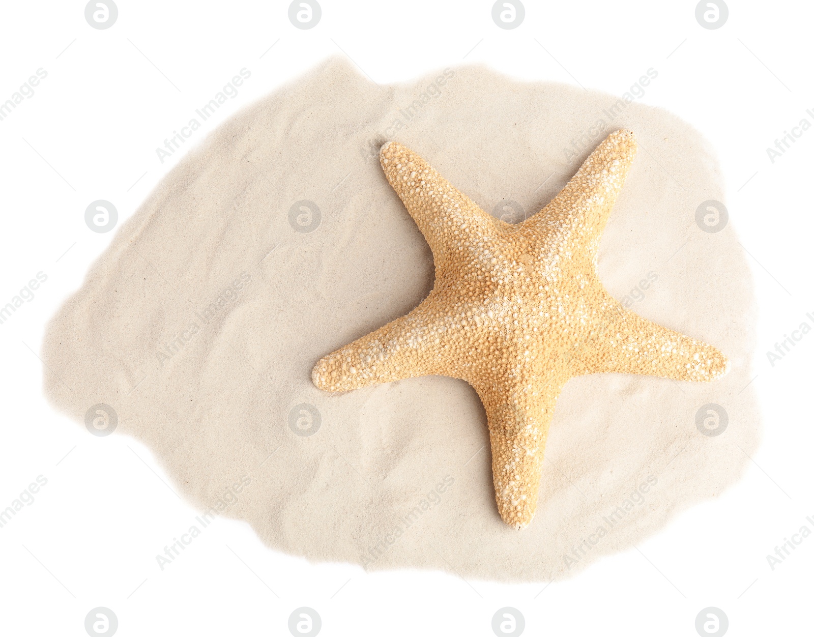 Photo of Pile of beach sand with beautiful starfish on white background, top view