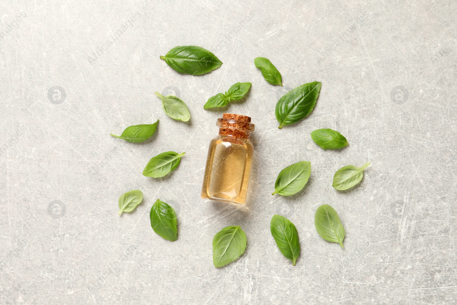 Photo of Glass bottle of basil essential oil and leaves on light grey table, flat lay