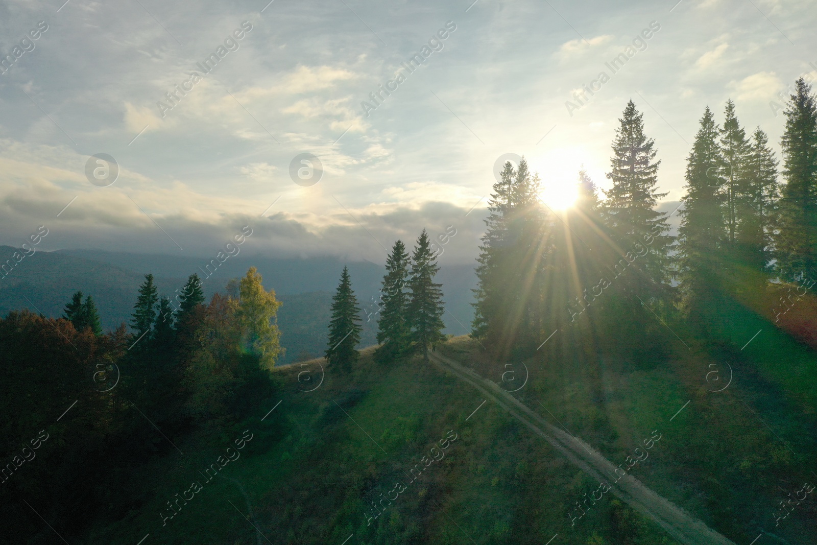 Photo of Aerial view of beautiful pathway in mountain forest at sunrise