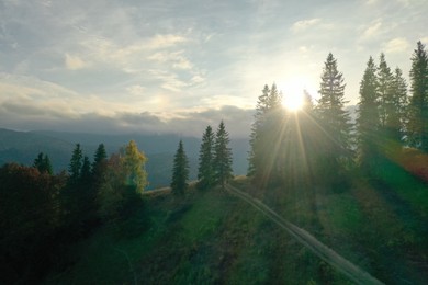 Aerial view of beautiful pathway in mountain forest at sunrise