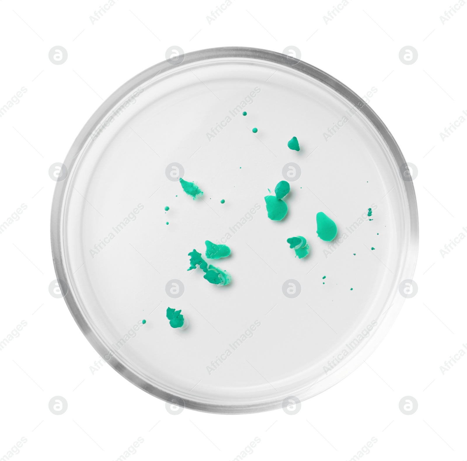 Photo of Petri dish with bacteria colony isolated on white, top view